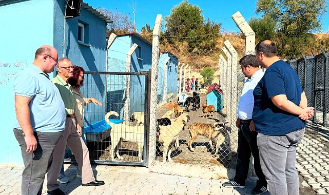 Lapseki Belediyesi’nden Hayvanları Koruma Günü etkinliği