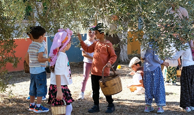 Miniklerden zeytin hasat şenliği