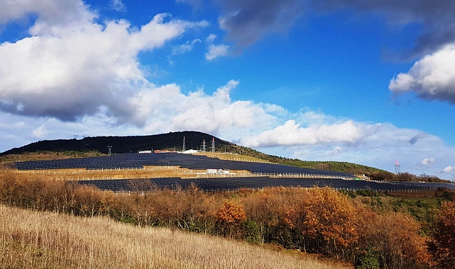 Son yılların moda yatırımı tarım arazilerini tehdit ediyor