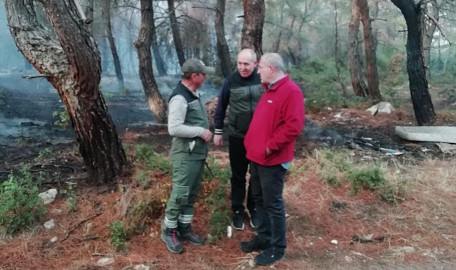 Umurbey yangınında 4 hektarlık alan yandı