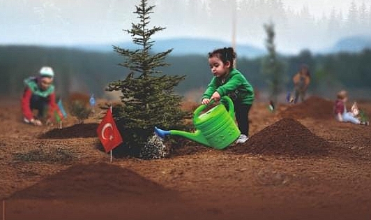 Ayvacık Kaymakamlığı'ndan fidan dikim etkinliği duyurusu