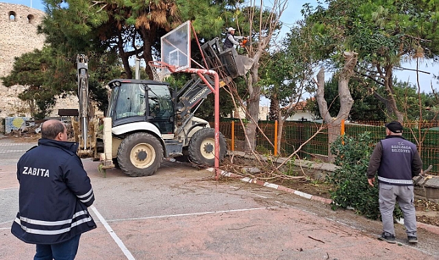 Bozcaada'da budama ve temizlik çalışması