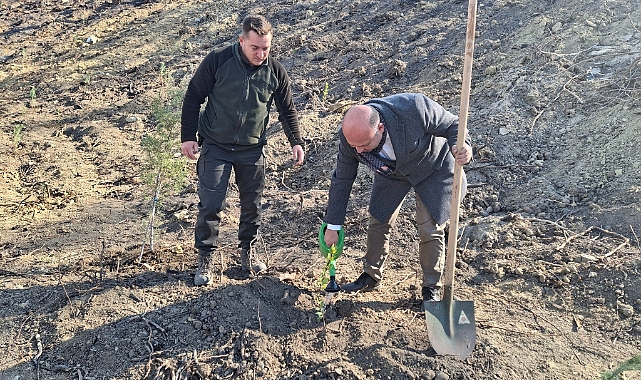 Bozcaada’da Milli Ağaçlandırma Günü kapsamında fidan dikimi gerçekleştirildi
