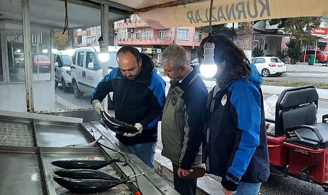 Çanakkale'de eş zamanlı su ürünleri denetimi
