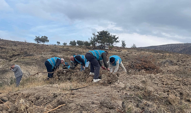 Çanakkale’de hükümlülerle fidan dikim etkinliği