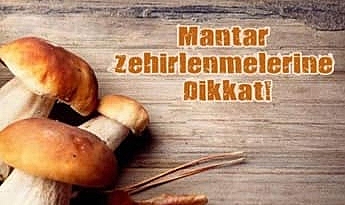 Çanakkale İl Sağlık Müdürlüğü'nden mantar zehirlenmelerine karşı uyarı