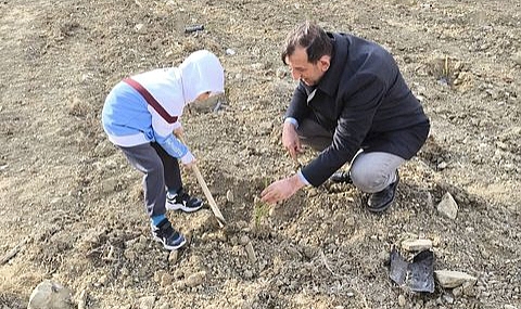 Gökçeada'da fidanlar toprakla buluştu
