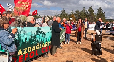 Kazdağları için acil çağrı: "Ağaç Kesimini Bırak, İş Makinelerini Çek!"