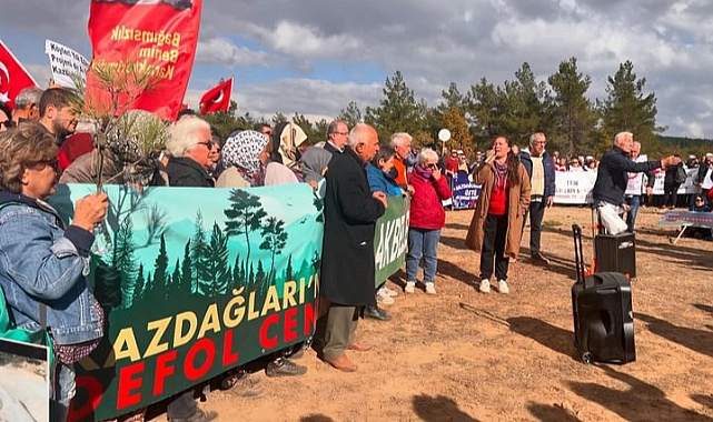 Kazdağları için acil çağrı: "Ağaç Kesimini Bırak, İş Makinelerini Çek!"