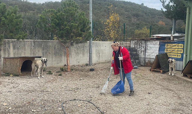 Küçükkuyu'da çalışmalar devam ediyor