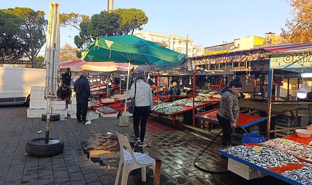 Palamut fiyatları şaşırtıyor