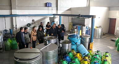 Vali Toraman, zeytinyağı fabrikalarını gezdi