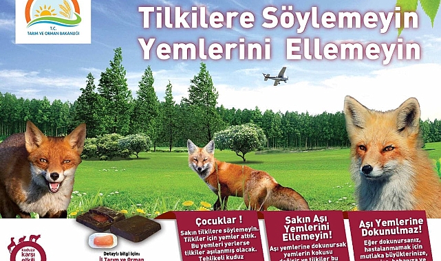 Yaban hayvanlarına yönelik oral aşılama çalışmaları başladı