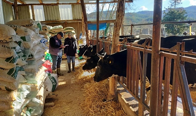 Yeniceli kadın çiftçiler, kırsal kalkınmaya katkı sağlıyor