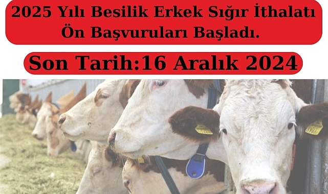 2025 yılı besilik erkek sığır ithalatı için ön başvurular başladı