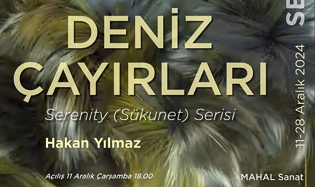 "Deniz Çayırları" sergisi MAHAL'de sanatseverlerle buluşuyor