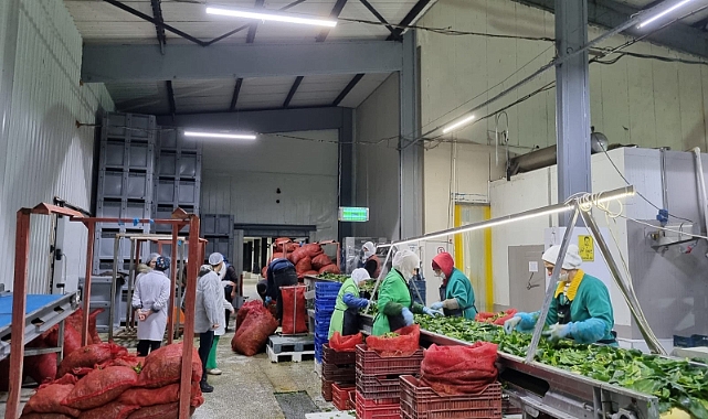 Gelibolu'daki gıda üretim işletmelerinin kontrol ve denetimleri gerçekleştirildi