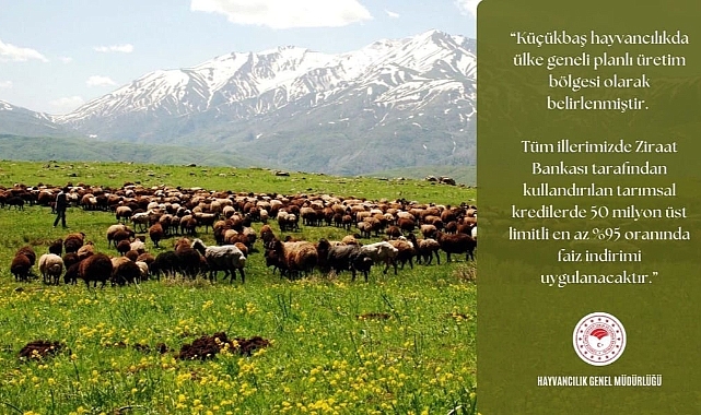 Küçükbaş hayvancılıkta üreticilere destek