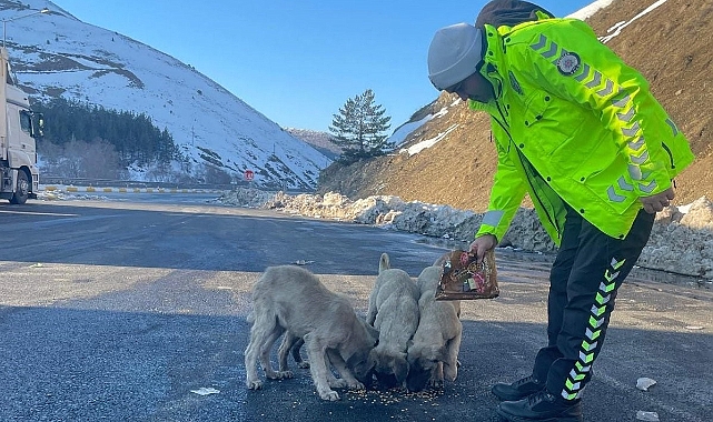 Polis ekipleri sokak hayvanlarını unutmadı