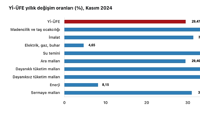 TÜİK verilerine göre Kasım 2024 yurt içi üretici fiyat endeksi açıklandı