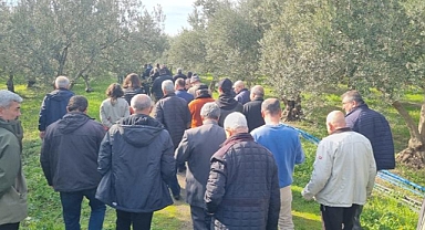Eceabatlı Zeytin Üreticileri teknik geziyle bilgilendirildi