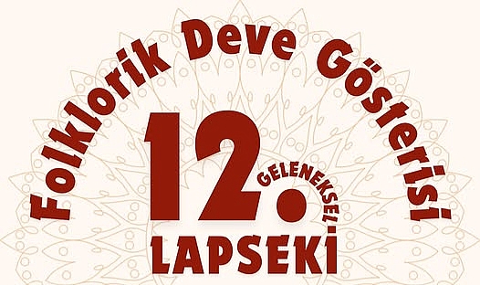 Lapseki Belediyesi'nin Deve Gösterisi! Gelenek mi, hayvan hakları ihlali mi?