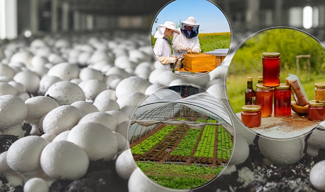 Tarım ve Orman Bakanlığı’ndan 100 projeye 461 milyon lira hibe desteği