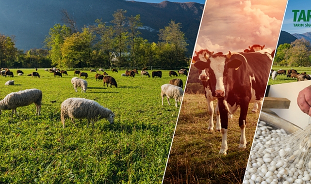TARSİM’den Üreticilere Yeni Yıl Müjdesi: 2025'te İndirim ve Yeni Uygulamalar