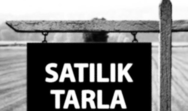 YENİCE KAYMAKAMLIĞI MİLLİ EMLAK ŞEFLİĞİ TAŞINMAZ MAL SATIŞ İLANI
