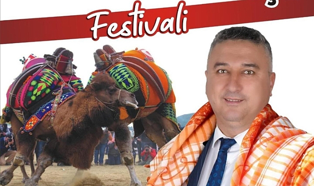 Ayvacık’ta Deve Güreşi Festivali: Gelenek mi, Sömürü mü?