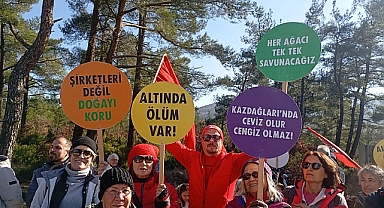 Cengiz Holding'e yeni işletme izni!