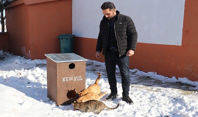 Erzurum'da Öğretmenlerden Sokak Kedilerine "Kedikol" Yuva Projesi