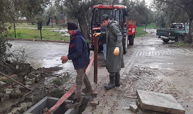 Küçükkuyu Belediyesi’nden çevre düzenleme ve sokak hayvanları için çalışmalar