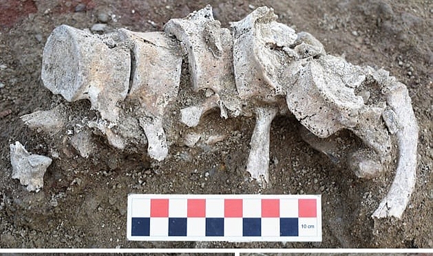 Parion Antik Kenti'nde yapılan araştırmalar, önemli detayları ortaya koydu