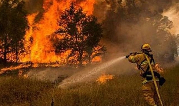Tarım ve Orman Bakanlığı 8.500 personel alacak. Başvuru şartları neler?