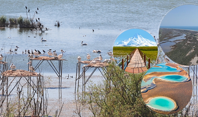 Türkiye'de 131 sulak alan koruma altında