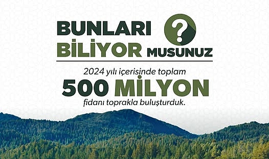 Türkiye'de 2024 Yılında 500 Milyon Fidan Toprakla Buluştu