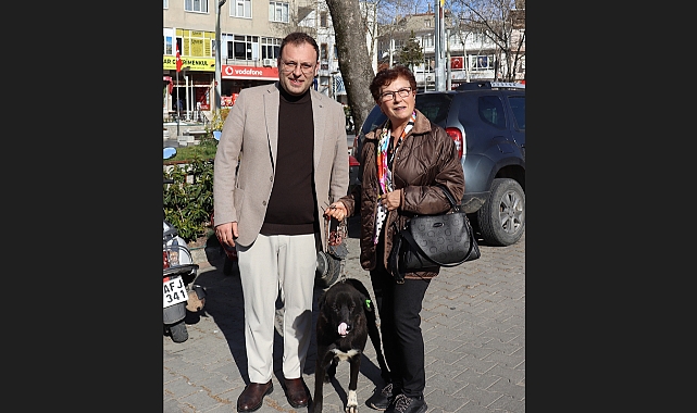 Bayramiç'te bir can dost daha yuvasına kavuştu
