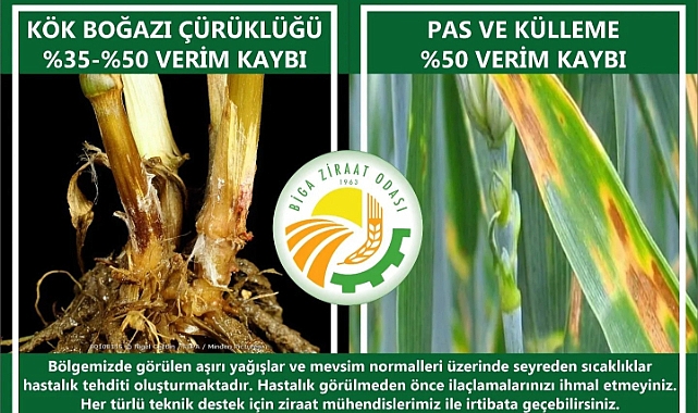 Biga Ziraat Odası'ndan çiftçilere hastalık uyarısı!