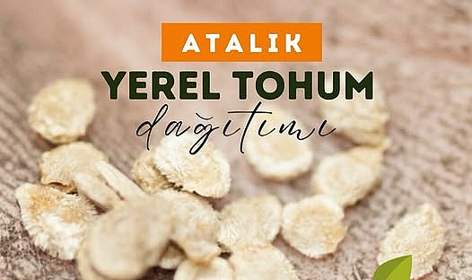 Bozcaada Belediyesi’nden atalık tohum desteği