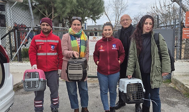 Çanakkale Belediyesi Şubat ayında 165 kedi ve 29 köpeği kısırlaştırdı