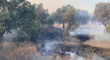 Çanakkale’de orman yangınlarına karşı uyarı!