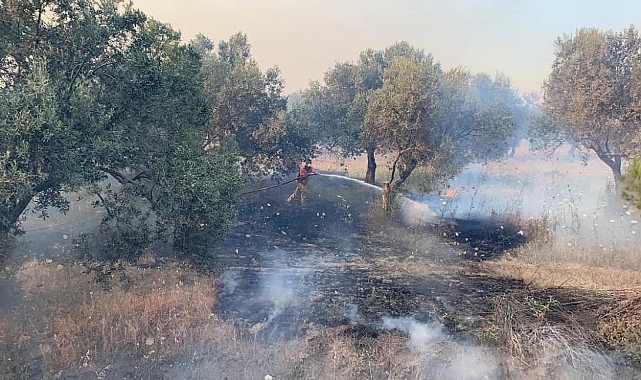 Çanakkale’de orman yangınlarına karşı uyarı!