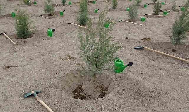 Çanakkale’de son 2 yılda yanan ormanlar yeniden yeşertildi