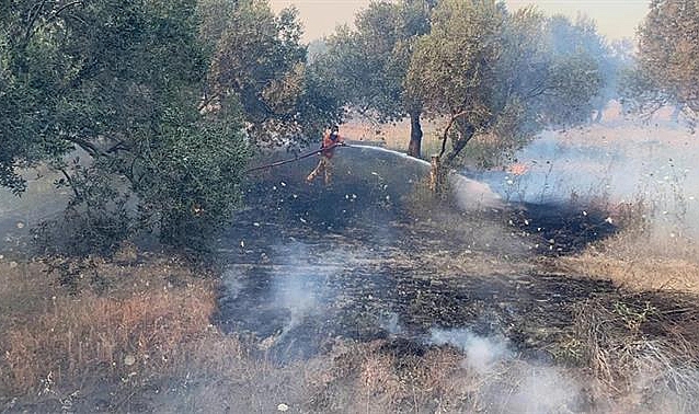 Çanakkale İl Tarım ve Orman Müdürlüğü’nden Orman Yangınına Karşı Uyarı