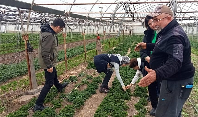 Çanakkale İl Tarım ve Orman Müdürlüğü'nden P.A içeren otlarla mücadele