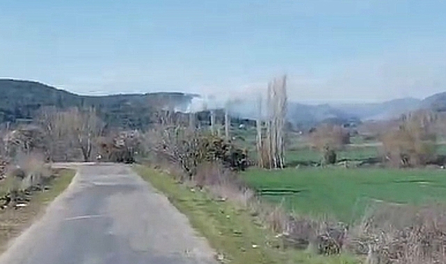 Gelibolu'da çıkan yangın kontrol altına alındı
