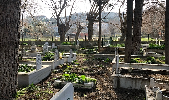 Gökçeada’da şehir mezarlıklarında bakım ve temizlik çalışması