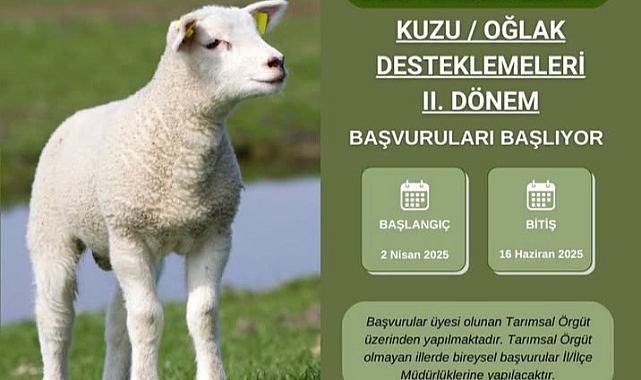 Kuzu ve Oğlak destek başvuruları başlıyor