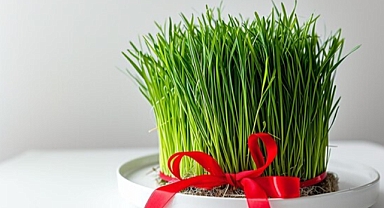 Nevruz Bayramı'nda Semeni Geleneği